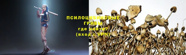 марки lsd Богородицк