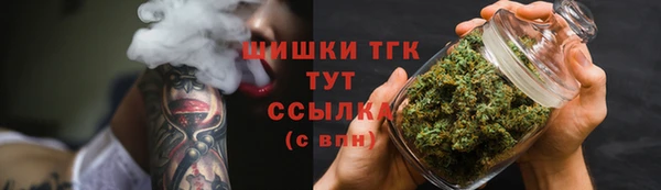 apvp Богданович