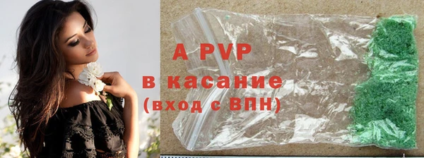 apvp Богданович