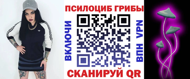 кракен зеркало  Нерюнгри  Галлюциногенные грибы ЛСД 